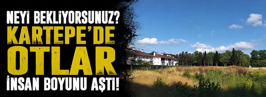 Kartepe'de Otlar İnsan Boyunu Aştı, Yangın Riski Artıyor!
