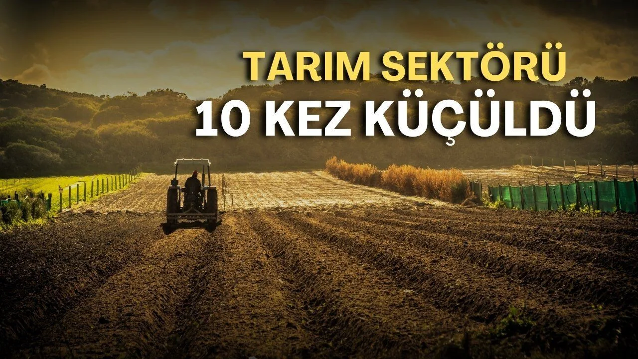 Antalya'da Tarım Sektörü 23 Çeyrekte 10 Kez Küçüldü