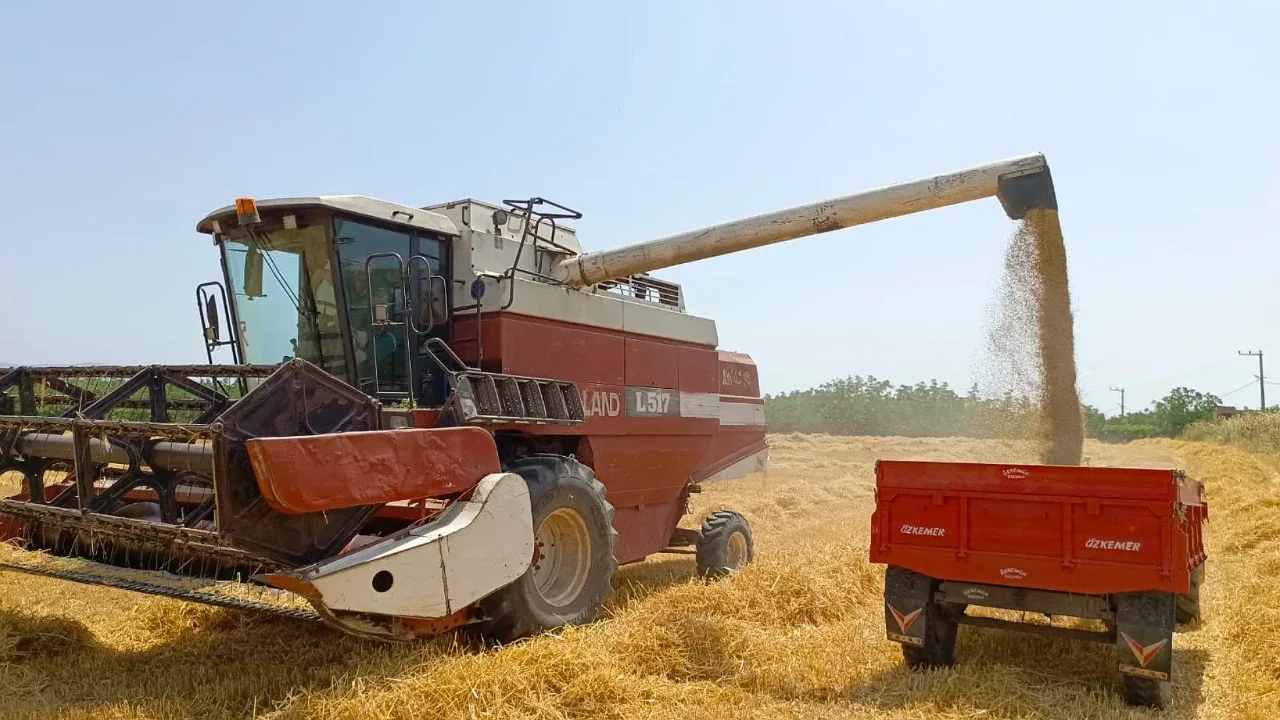 Orhangazi'de Buğday ve Arpa Hasadı Başladı, Beklentiler Yükseliyor!
