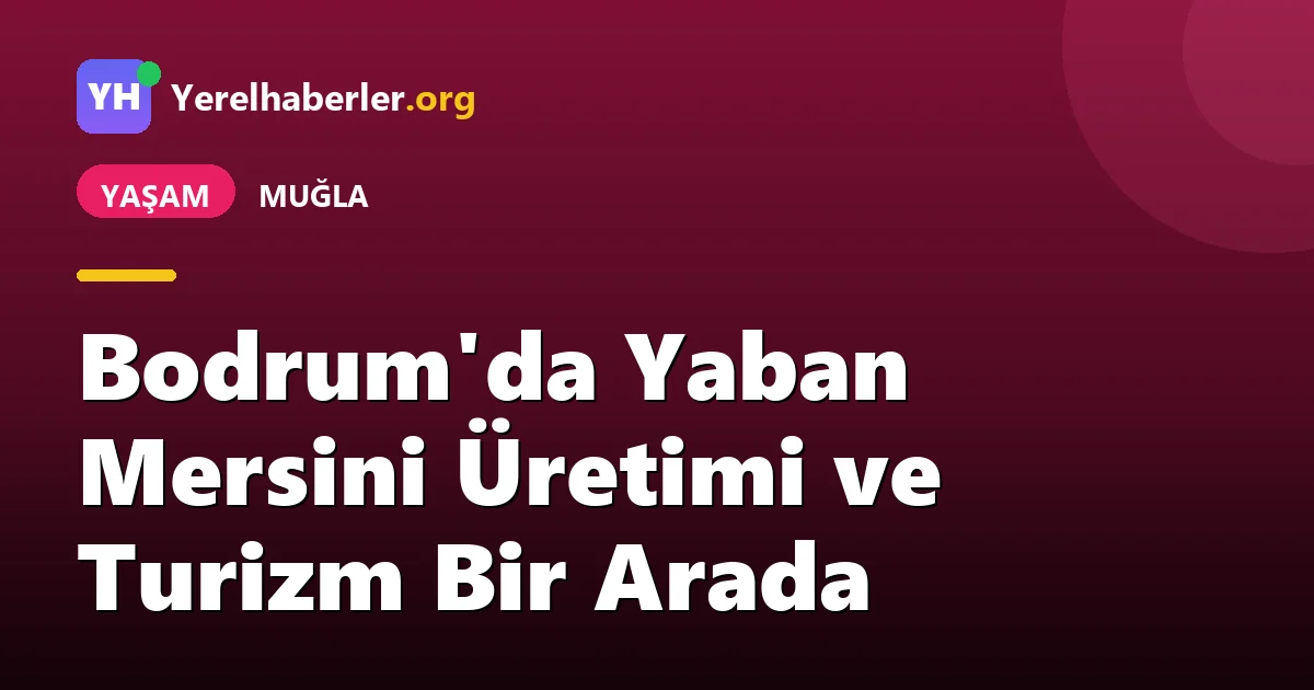 Bodrum'da Yaban Mersini Üretimi ve Turizm Bir Arada