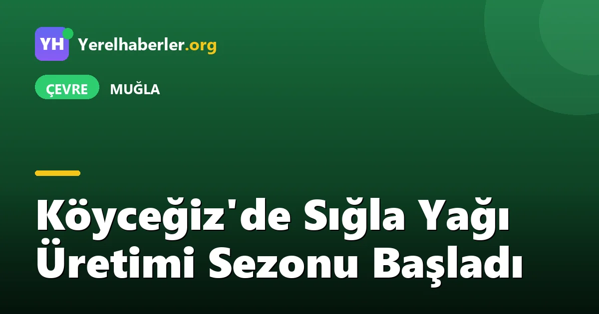 Köyceğiz'de Sığla Yağı Üretimi Sezonu Başladı