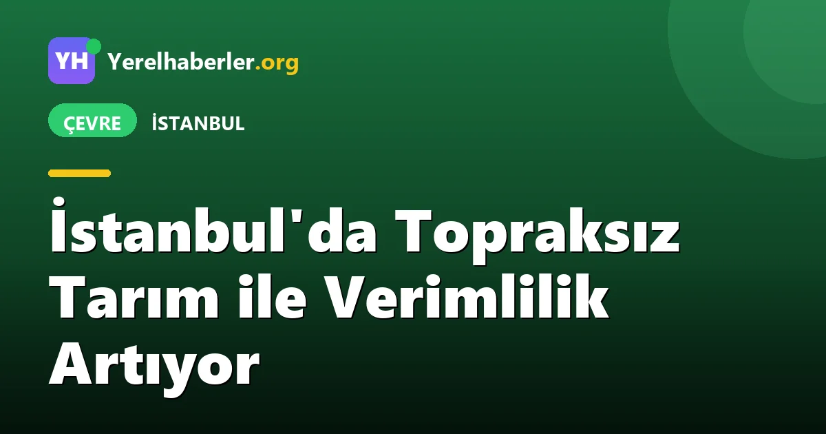 İstanbul'da Topraksız Tarım ile Verimlilik Artıyor