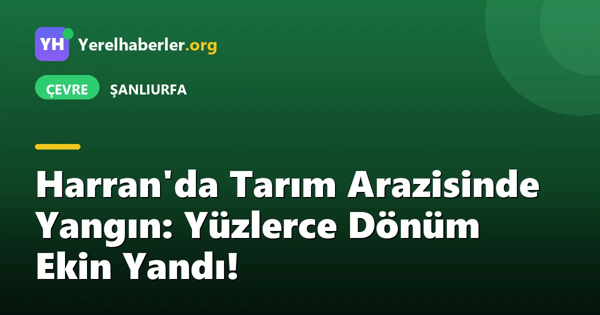 Harran'da Tarım Arazisinde Yangın: Yüzlerce Dönüm Ekin Yandı!