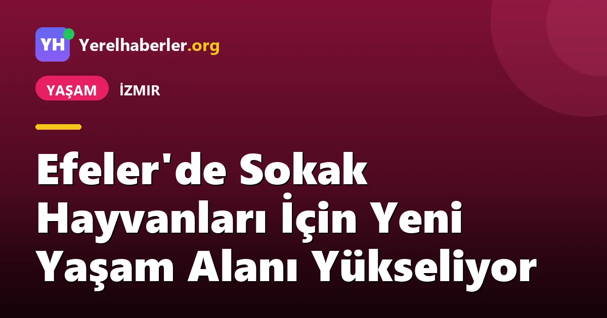 Efeler'de Sokak Hayvanları İçin Yeni Yaşam Alanı Yükseliyor