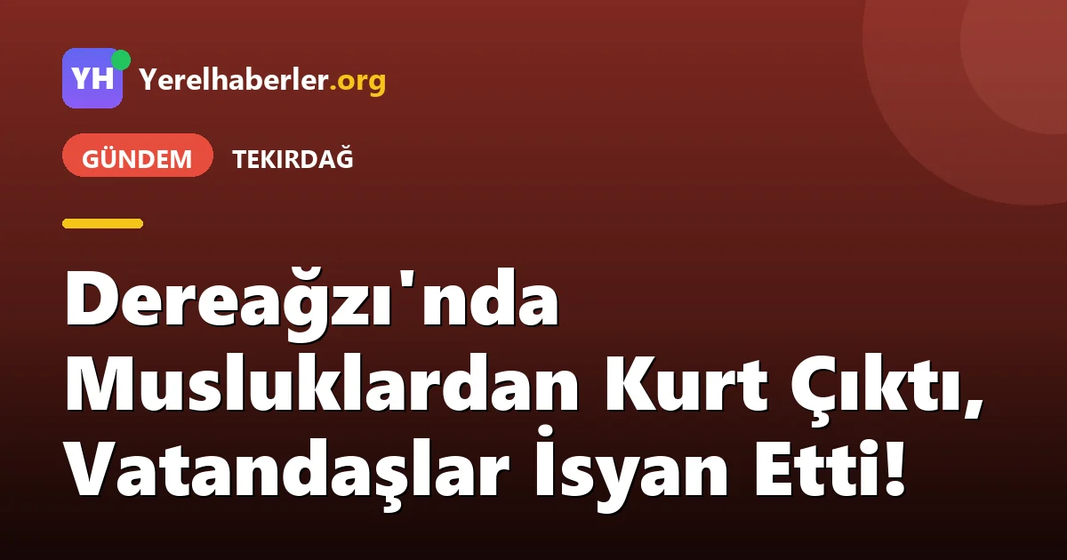 Dereağzı'nda Musluklardan Kurt Çıktı, Vatandaşlar İsyan Etti!