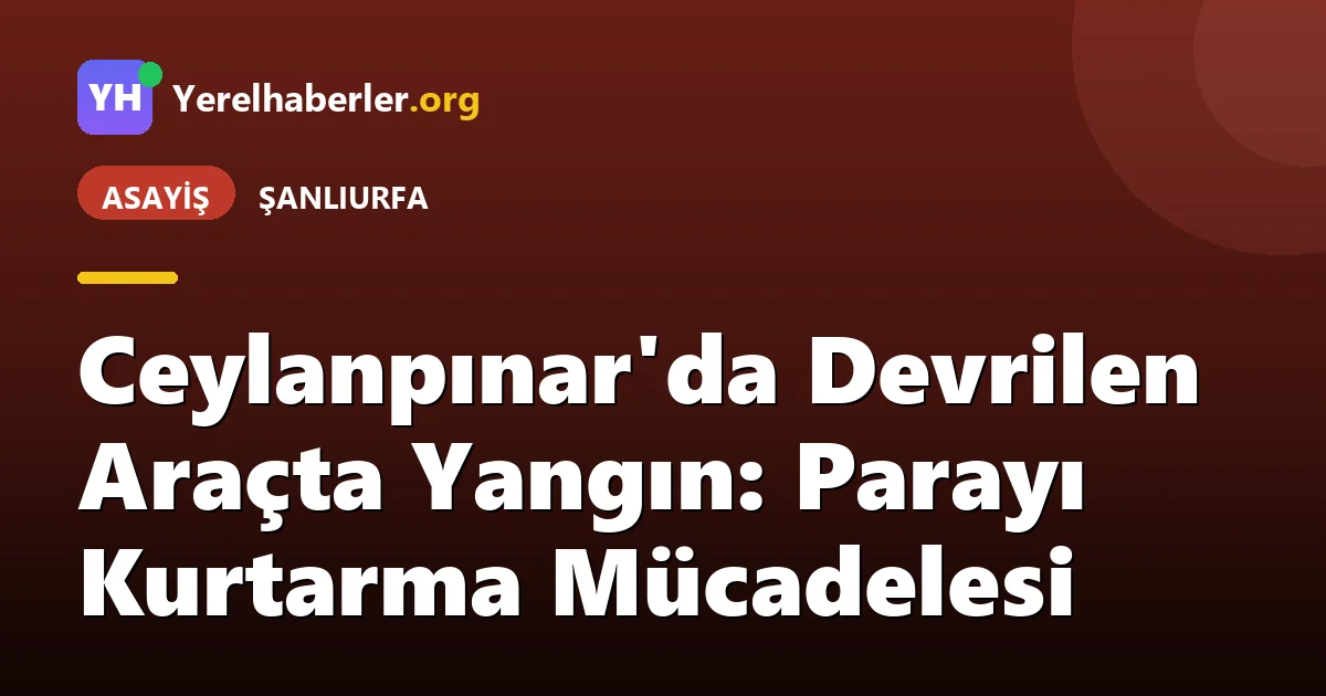 Ceylanpınar'da Devrilen Araçta Yangın: Parayı Kurtarma Mücadelesi