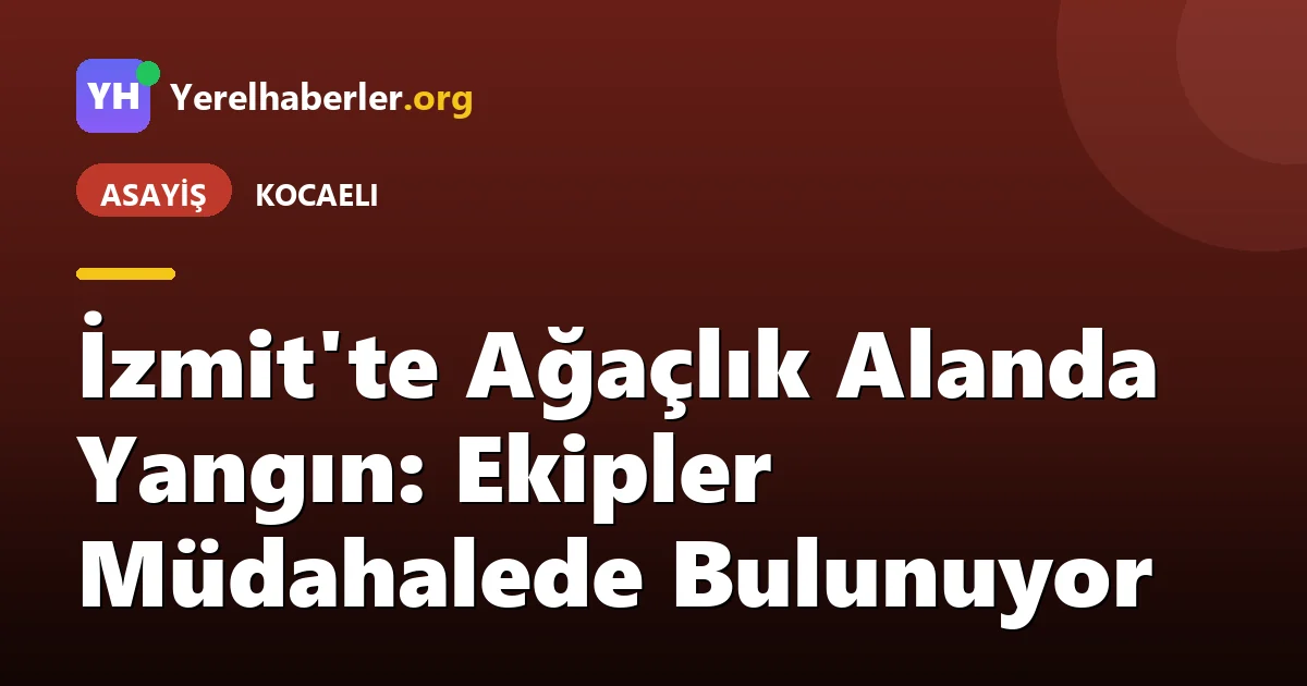 İzmit'te Ağaçlık Alanda Yangın: Ekipler Müdahalede Bulunuyor