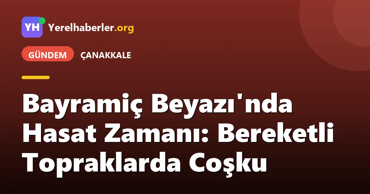 Bayramiç Beyazı'nda Hasat Zamanı: Bereketli Topraklarda Coşku