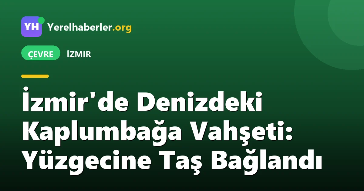 İzmir'de Denizdeki Kaplumbağa Vahşeti: Yüzgecine Taş Bağlandı