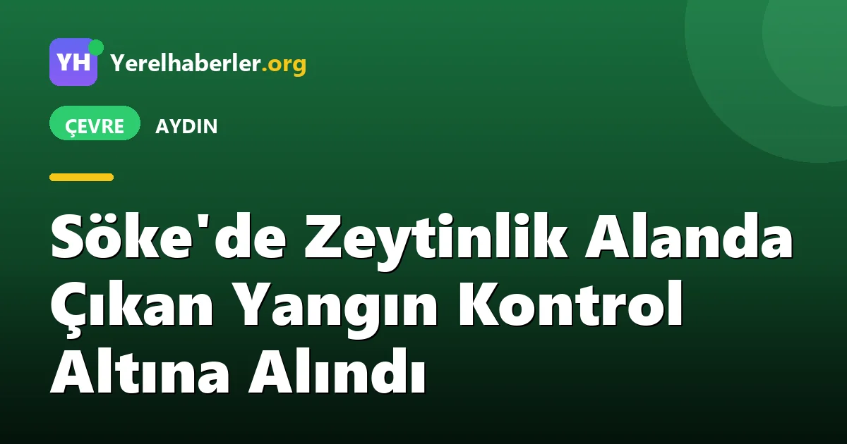 Söke'de Zeytinlik Alanda Çıkan Yangın Kontrol Altına Alındı