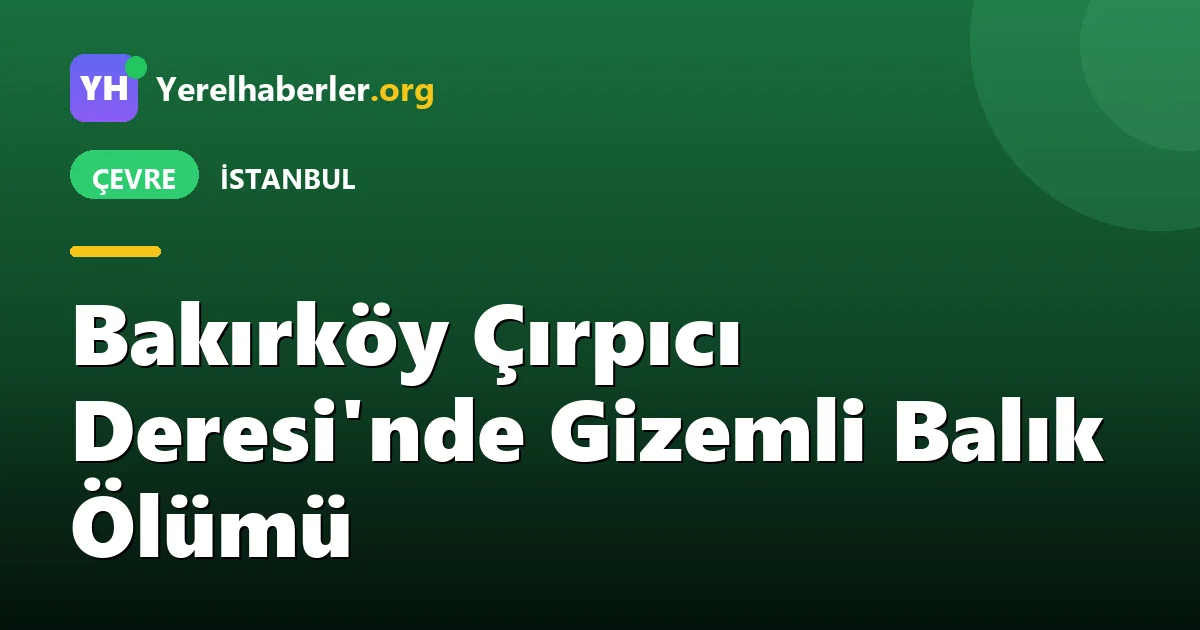 Bakırköy Çırpıcı Deresi'nde Gizemli Balık Ölümü