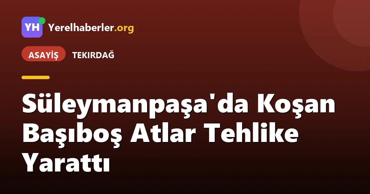 Süleymanpaşa'da Koşan Başıboş Atlar Tehlike Yarattı