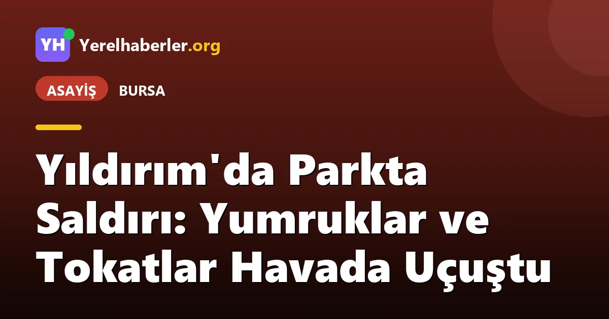 Yıldırım'da Parkta Saldırı: Yumruklar ve Tokatlar Havada Uçuştu